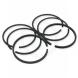HASTINGS® MOLY RINGS FOR SPORTSTERS (Hastings)