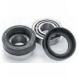 ALL BALLS WHEEL BEARING KITS (All Balls)