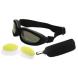 EYE RIDE® CAT EYE INTERCHANGEABLE GOGGLES (Eye Ride)