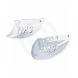 REAR DISK BRAKE GUARD (IMS)