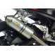 RACING SLIP-ONS WITH OVAL SILENCERS (LeoVince)