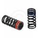 VALVE SPRINGS (CV4)