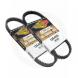 CARLISLE DRIVE BELTS (Carlisle)